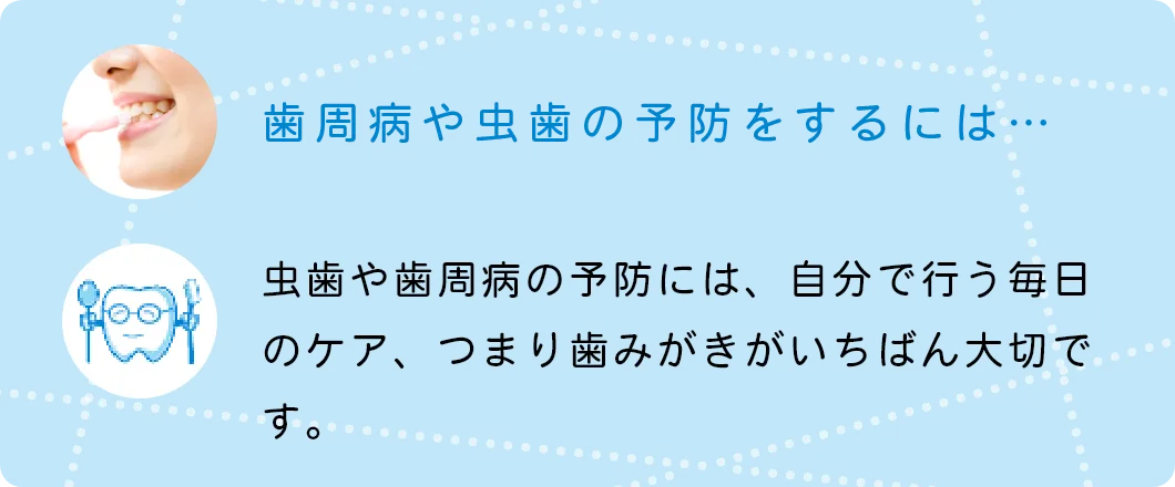歯周病や虫歯の予防をするには…